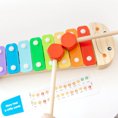 Caterpillar Xylophone