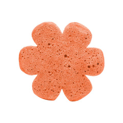 Cait + Co - Soap Infused Spongie-Sweet Splash