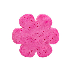 Cait + Co - Soap Infused Spongie-Flowery Fresh