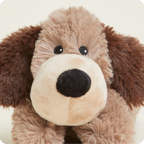 Brown Dog Warmies Junior