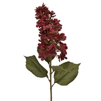 38” PANICLE SINGLE BLOOM HYDRANGEA STEM - BURGUNDY