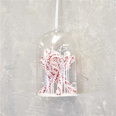 CANDY CANES WITH CLEAR HOUSING ORNAMENT