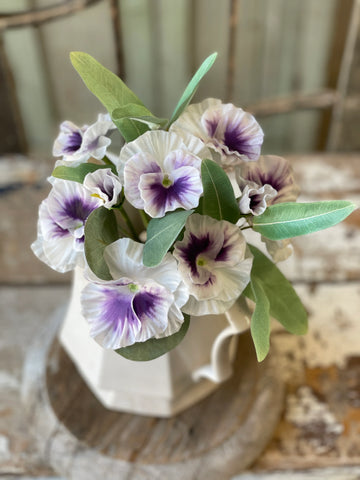 Pleasing Pansy Bundle | 12" |