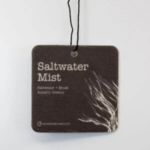 Car Freshener: Saltwater Mist