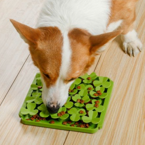 Foraging Mat For Dogs-Spring Clover