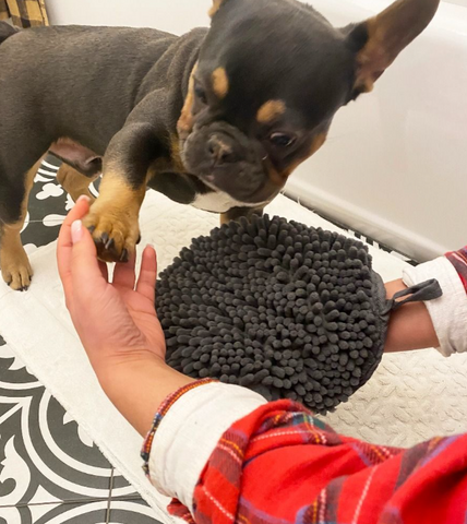 Wet Paws Drying Mat