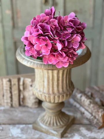 Cameo Hydrangea | 22" | Vanity