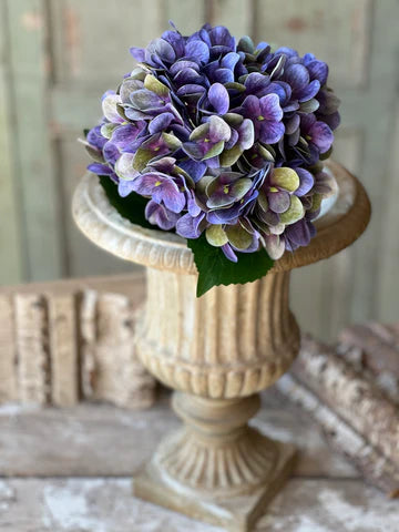 Cameo Hydrangea | 22" | Violet Haze