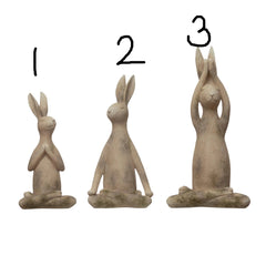 Yoga Rabbit, 3 Styles