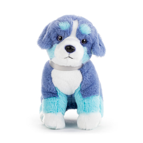 Bernese Mountain Dog Small - Bright Teal