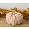 Orange Striped Knit Pumpkin