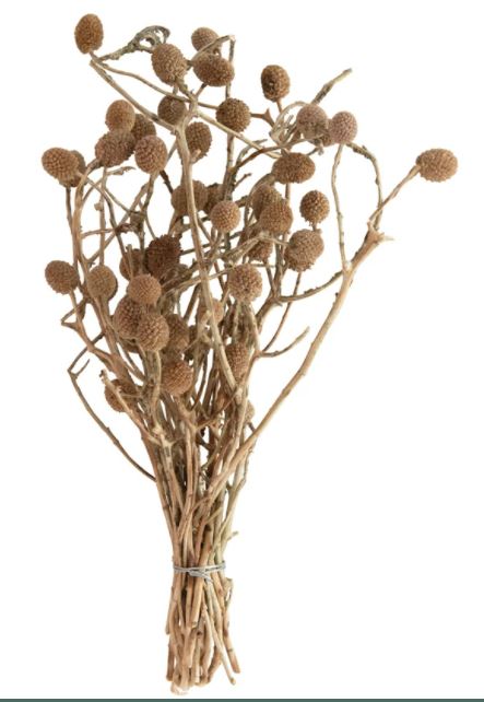 Dried Natural Bora Bunch