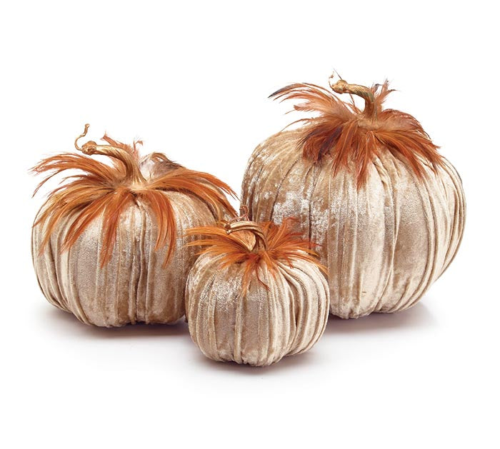 DECORATIVE VELVET PUMPKINS WITH FEATHERS