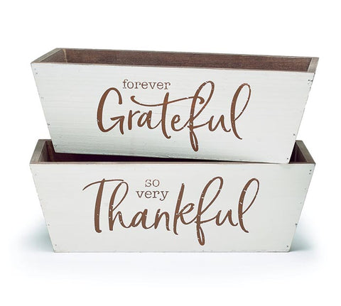 THANKFUL/GRATEFUL PLANTER ASTD