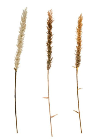 Faux Flocked Grass Plume, 3 Colors