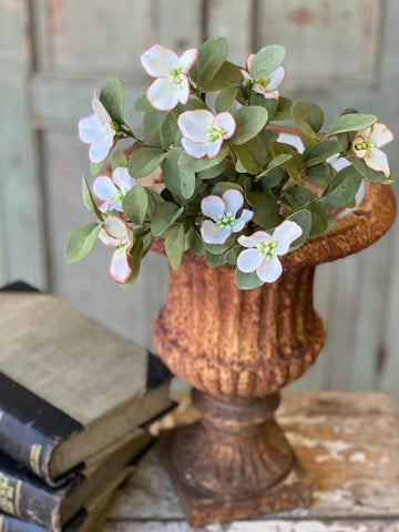 Dappled Dogwood Bush | 20"