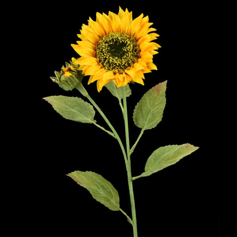 28” Harvest Sunflower Spray in Yellow