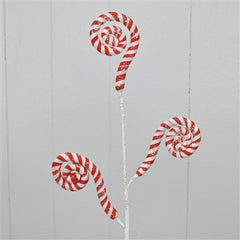 29” CANDY CANE CURLY SPRA