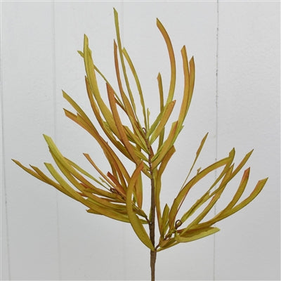 20” HARVEST PAPER PINEFOLIAGE