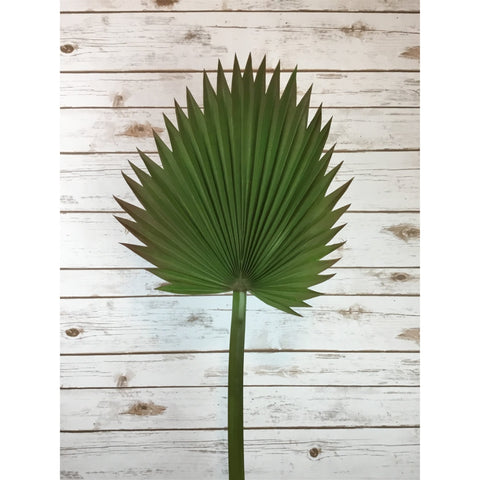 37.5" Palmetto Leaf Stem