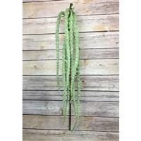 42" Amaranthus Hanging Spray in Green