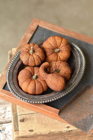 Hallows Pumpkin & Gourd Box (5 Pcs)