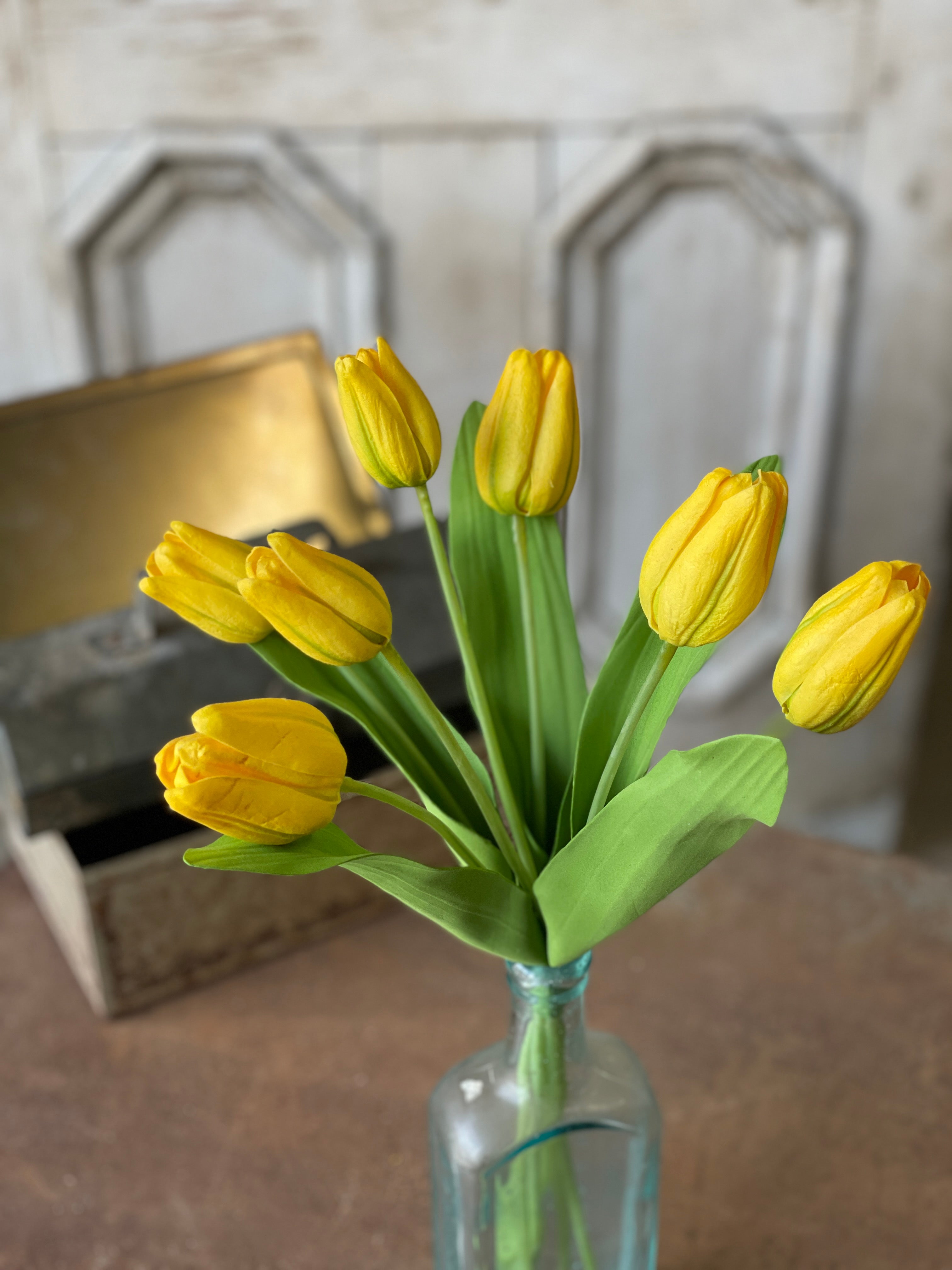 Tulip Time | 14.5" | Yellow |