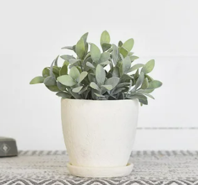 4" WHITE CERAMIC PLANTER