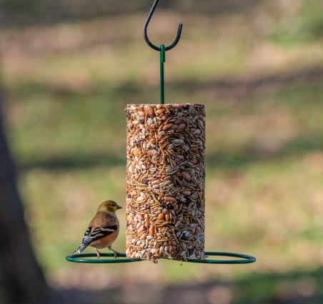 Cylinder Feeder