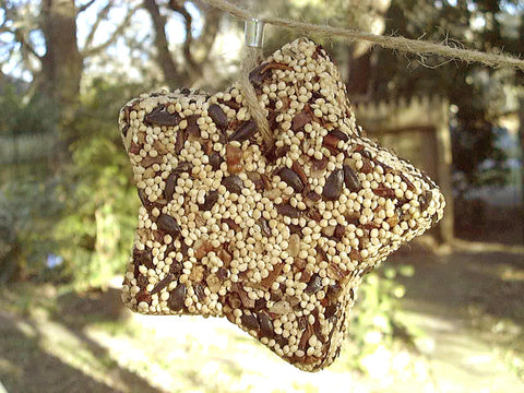 Little Star Bird Feeder