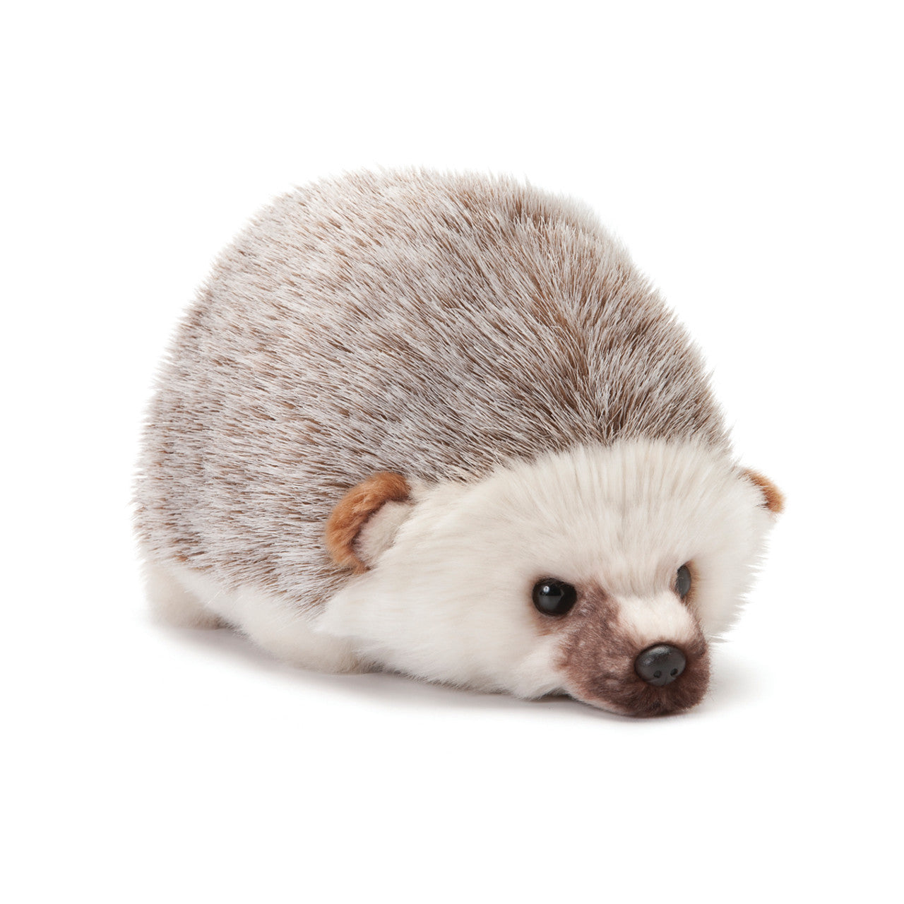 Hedgehog Small