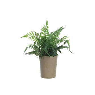 13-1/2"H Faux Fern in Paper Pot