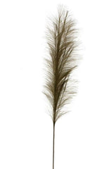 Faux Pampas Grass Plume